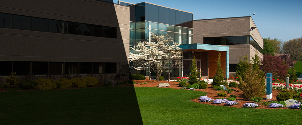 Eastchester Landscapers