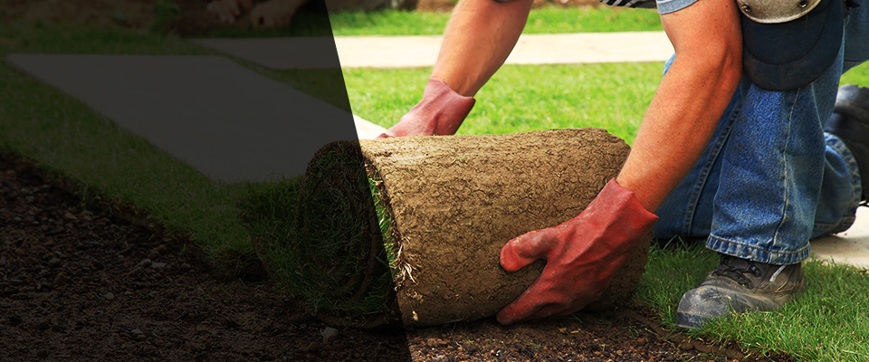 Eastchester Landscapers